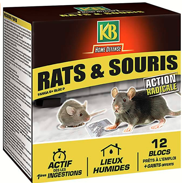 Souris & Rats